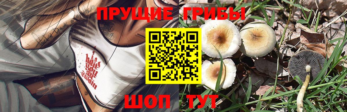 Тамбов  Псилоцибиновые грибы GOLDEN TEACHER  Вход с VPN 