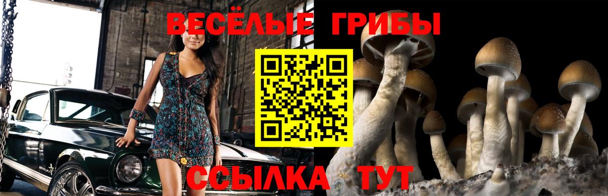 Галлюциногенные грибы MAGIC MUSHROOMS Тамбов